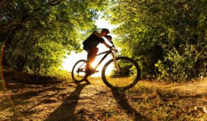 Tienda de bicicletas de montaña Valencia profesional