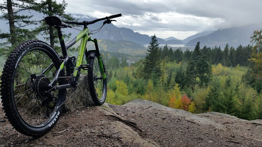 Bicicletas de montaña Valencia profesionales