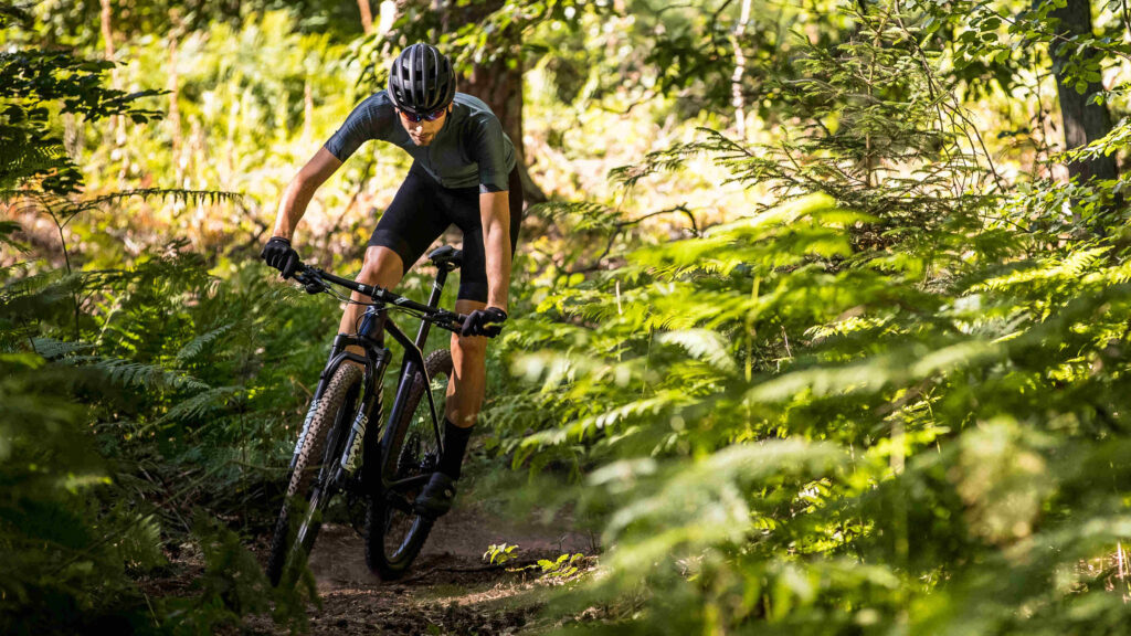 Venta de bicicletas de montaña Valencia de calidad